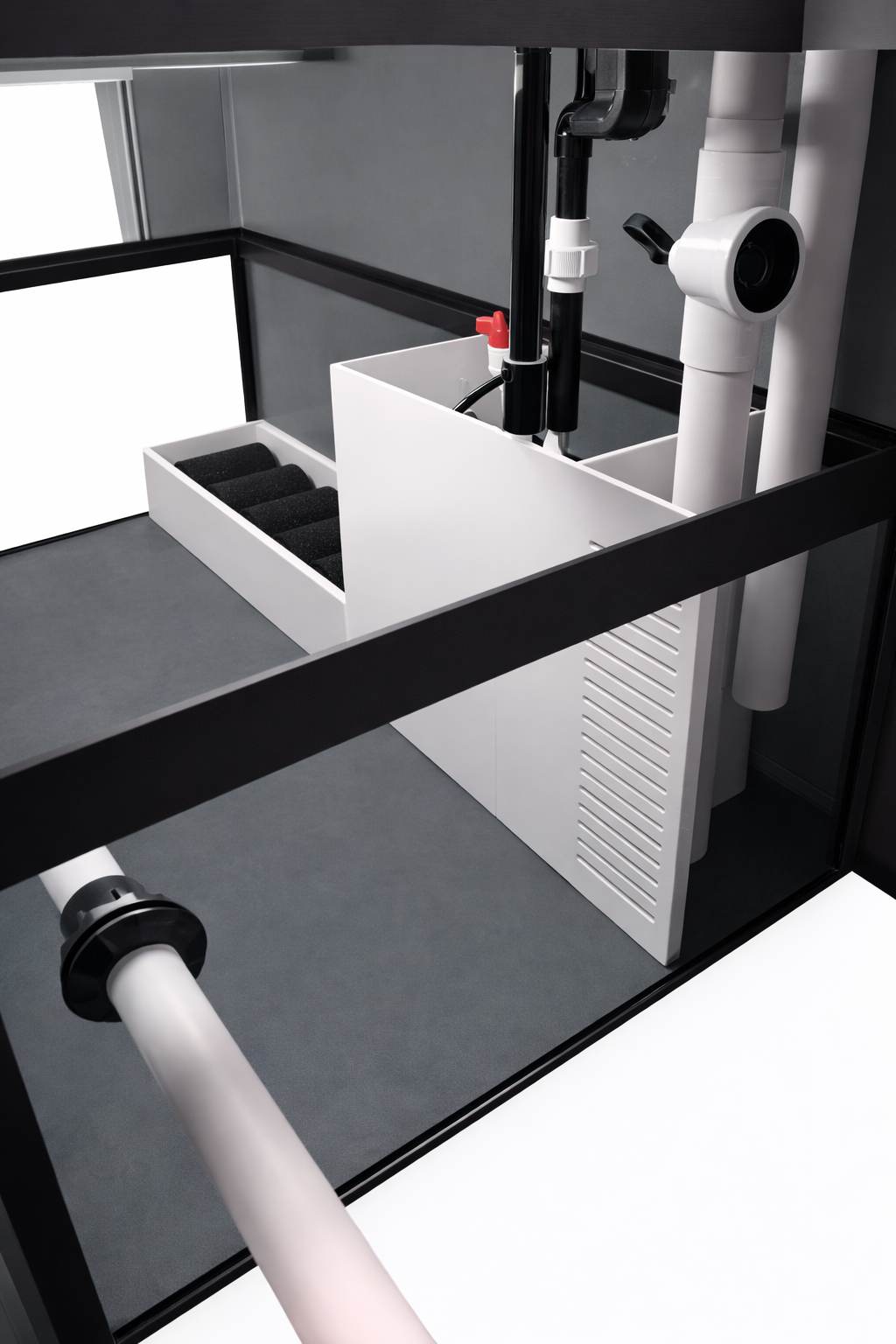 3D Aquarium Displays - Marine - Freshwater - Aquatic Turtles