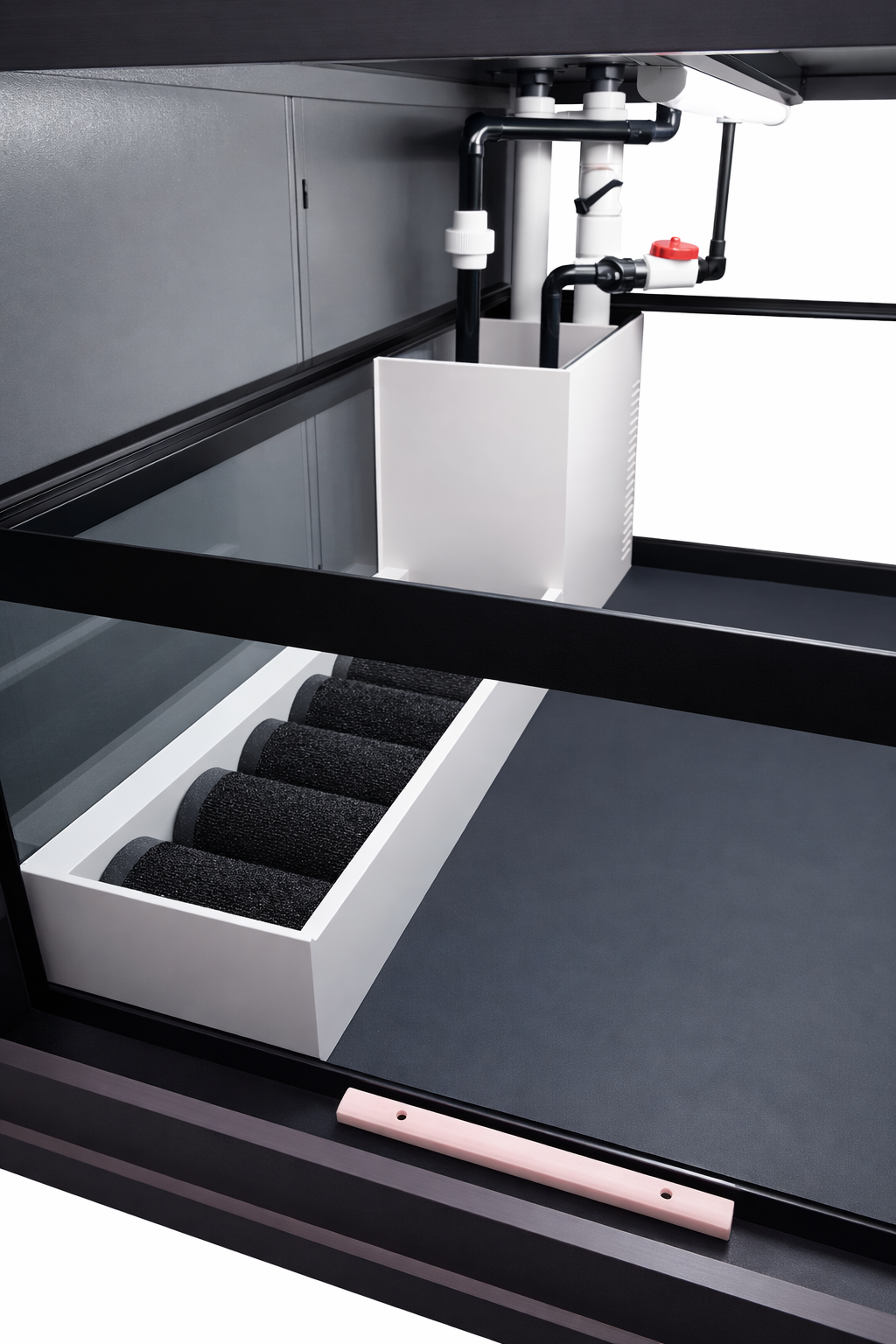 3D Aquarium Displays - Marine - Freshwater - Aquatic Turtles