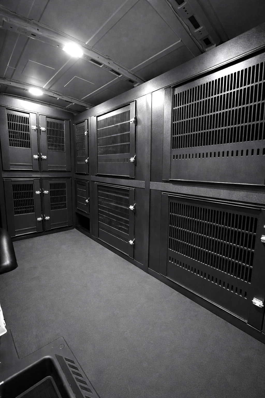 Custom animal transport van kennel system installed for pet taxi use