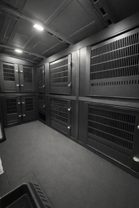 Custom animal transport van kennel system installed for pet taxi use