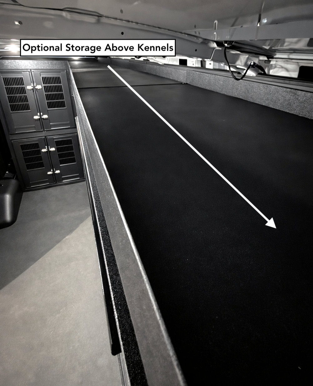 Custom animal transport van kennel system installed for pet taxi use