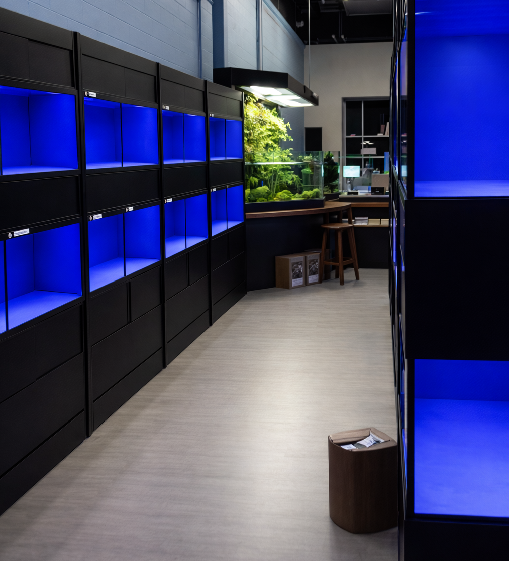 Marine Fish / Coral / Invertebrate Aquarium Racks