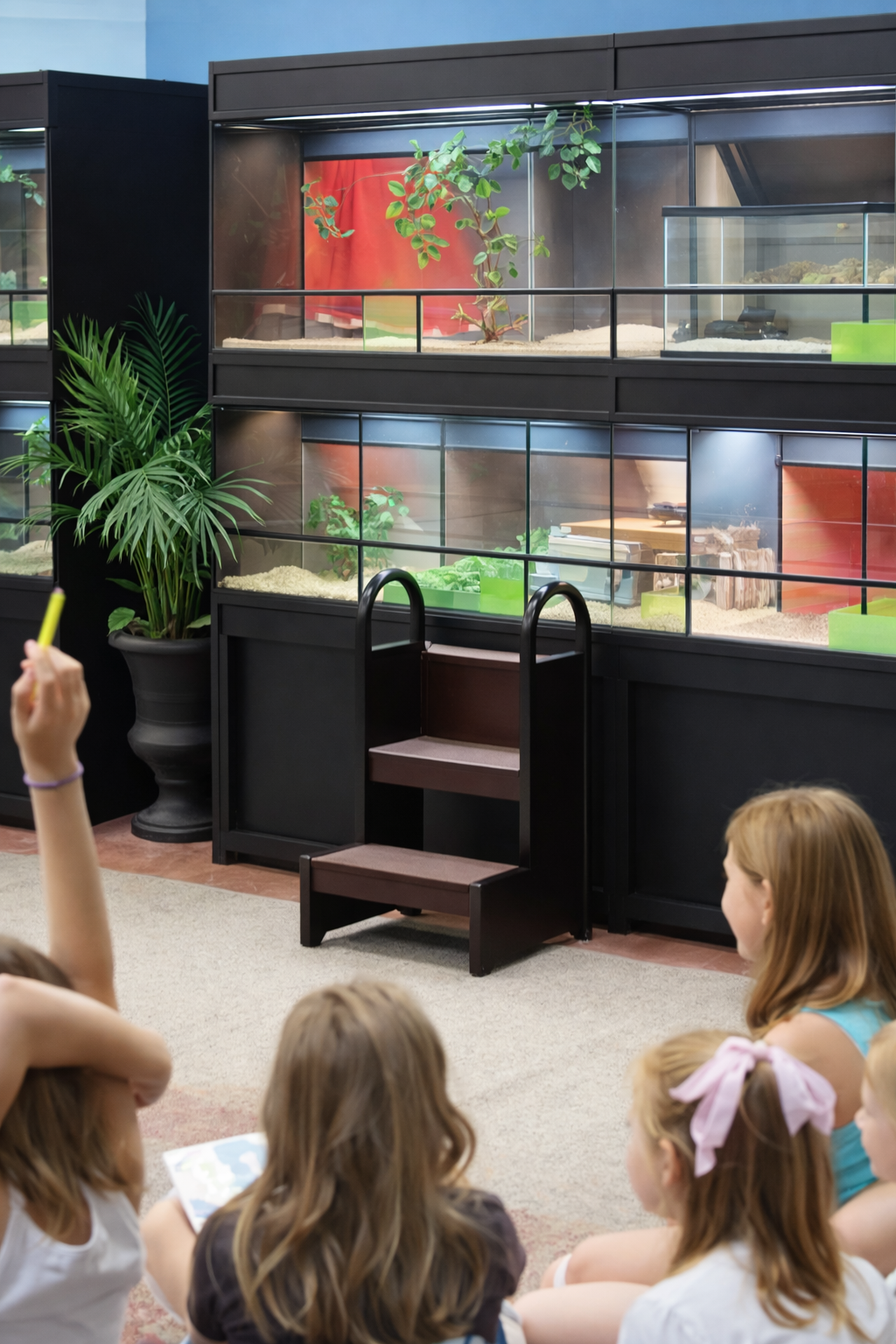 Professional reptile rack with stacked enclosures for breeders and hobbyists