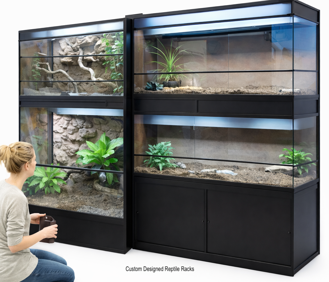 Person examining large custom-designed reptile tanks with various plants and terrarium elements.