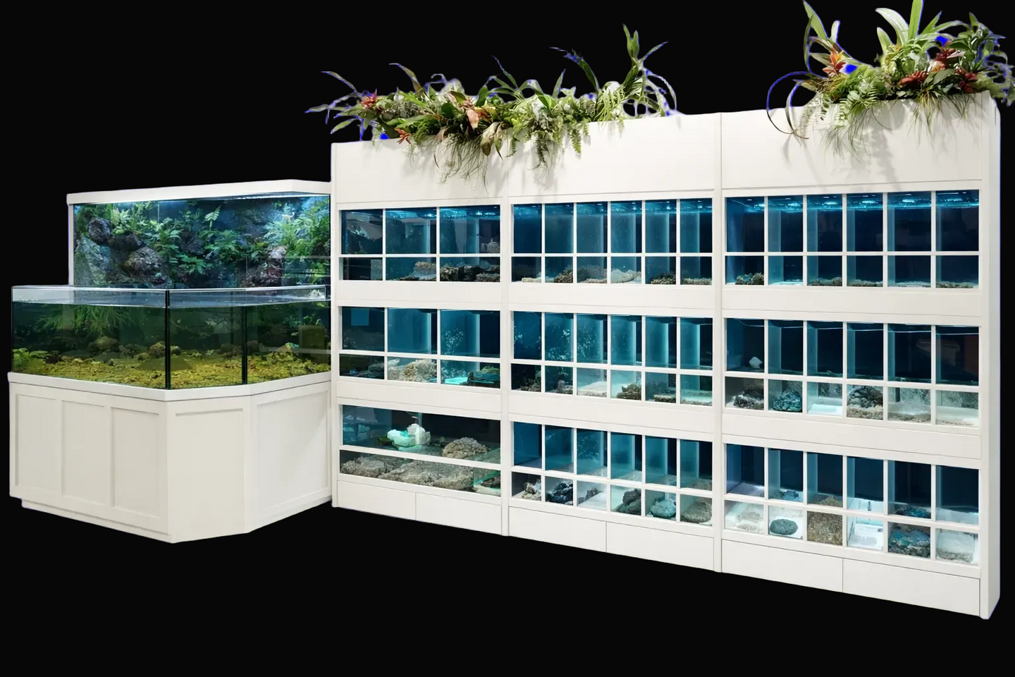 Professional reptile rack with stacked enclosures for breeders and hobbyists