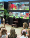 Reptile Enclosures Retail Animal Display by DAS Aquariums