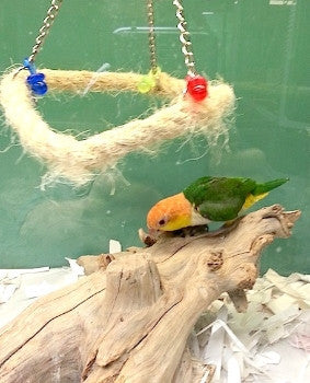 Bay Enclosures for Small Parrots