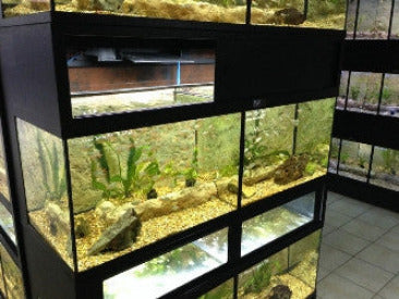 DAS Aquariums Pet Enclosures for Fish
