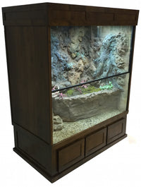 Mangrove Monitor Terrarium Custom Design