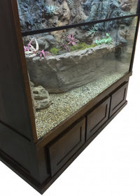 Mangrove Monitor Terrarium Custom Design