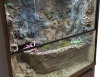 Mangrove Monitor Terrarium Custom Design