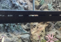 Mangrove Monitor Terrarium Custom Design