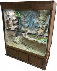 Mangrove Monitor Terrarium Custom Design