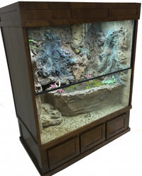 Mangrove Monitor Terrarium Custom Design