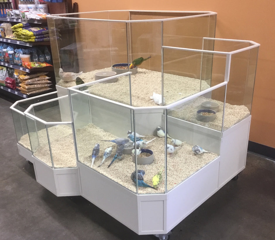 Commercial Retail Pet Display Racks and Dog or Cat Adoption Kennels – DAS
