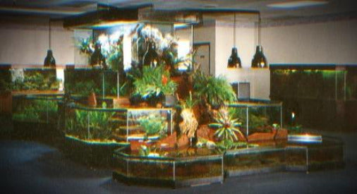 3D Aquarium ShowPiece in a Lobby