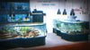 3D Aquariums at a Tradeshow