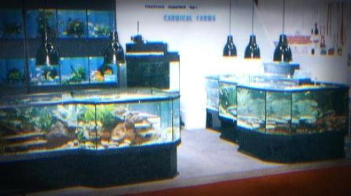Amazing 3D Aquarium Display at a Tradeshow