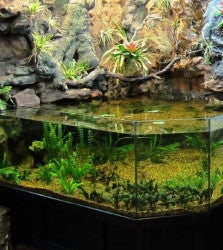 DAS Aquariums 3D Aquarium Archer Fish Waterfall Display