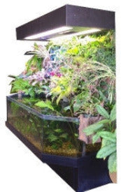 3D Aquarium Open Top with lots of Live Plants in a Lobby