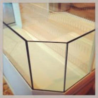 Custom Design 3D Aquarium for Marine Life Display in Beige
