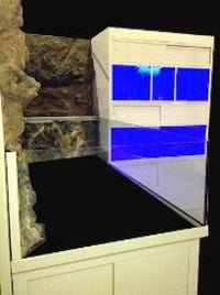 Custom Design 3D Aquarium with Marine Fish Enclosure