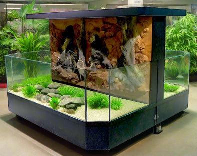 3D Aquarium "Feeding Frenzy"