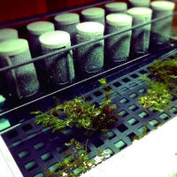 Custom Design Terrarium Turtle Tank for Nature Center