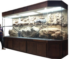 Exhibit "Alligators and Turtles"