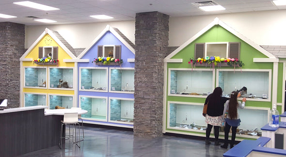 Township Front Facades