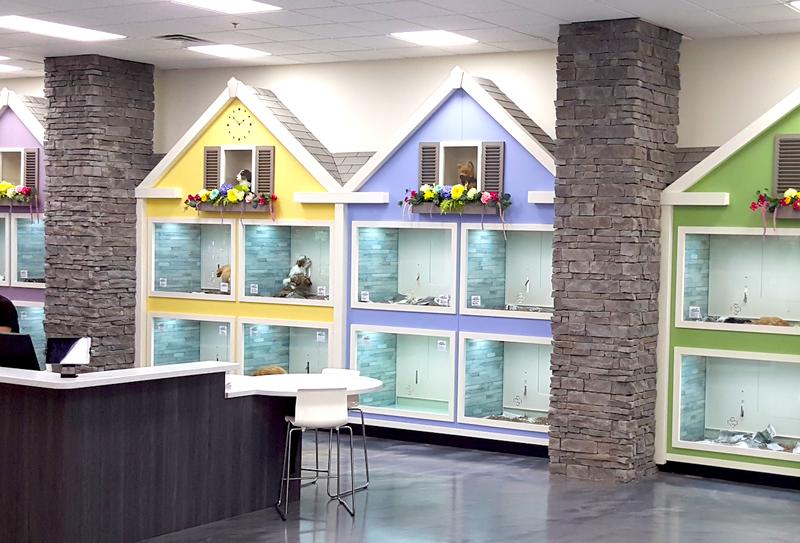 Unique Township Design for Pet Store Fixtures