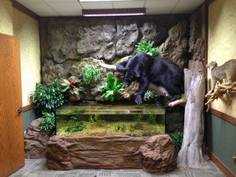 Custom Design 3D Aquarium Bank Office displaying Bear
