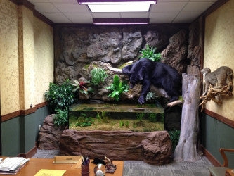 Custom Design 3D Aquarium Bank Office displaying Bear