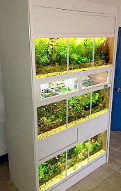 THRIVE Freshwater Fish Care Racks