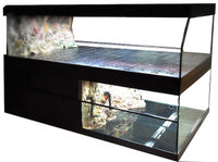 Tropical Fish Store Frag Tank Display Table