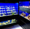 Marine Crustacean Care Tiered Display Rack
