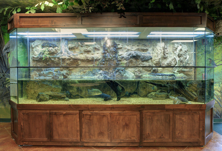 Custom Design Terrarium Turtle Tank for Nature Center