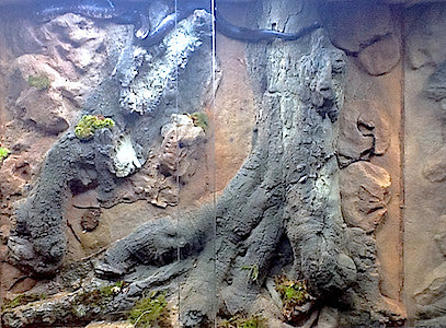 Custom Design Terrarium by DAS Aquariums