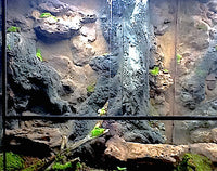 Custom Design Terrarium by DAS Aquariums