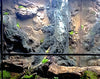 Custom Design Terrarium by DAS Aquariums