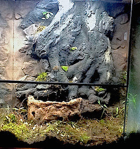 Custom Design Terrarium by DAS Aquariums