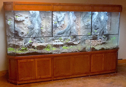 Custom Design Terrarium by DAS Aquariums