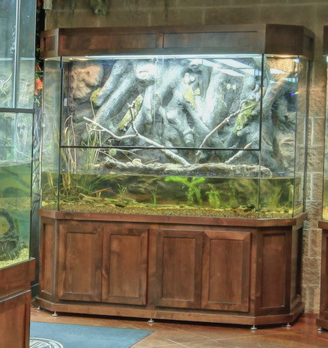 Exhibit "Arkansas Terrariums"