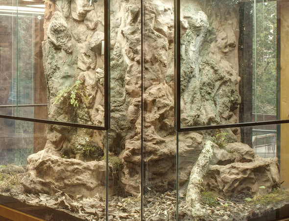 Exhibit "Ushape Terrariums"