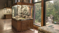 Custom Design Terrarium for Nature Center