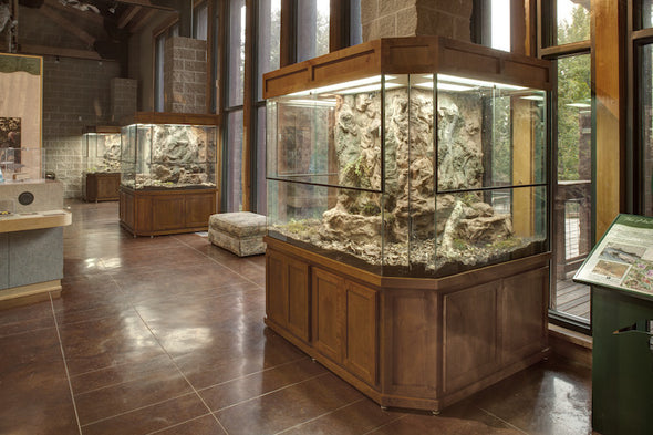 Exhibit "Ushape Terrariums"