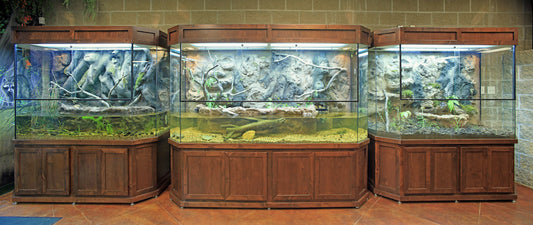 Custom Design Paludarium Terrarium or Turtle Tanks for Nature Center