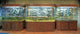 Custom Design Paludarium Terrarium or Turtle Tanks for Nature Center