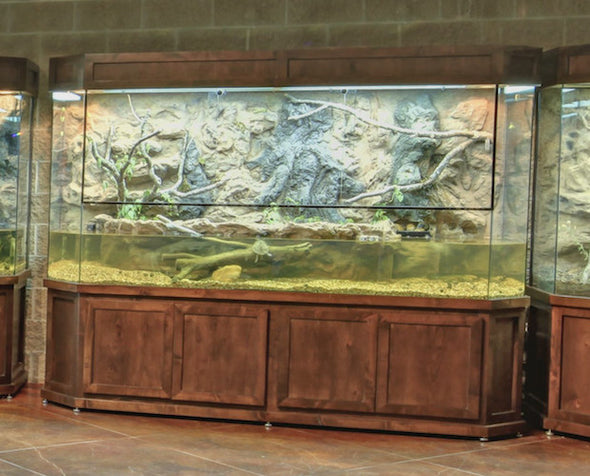 Exhibit "Arkansas Terrariums"