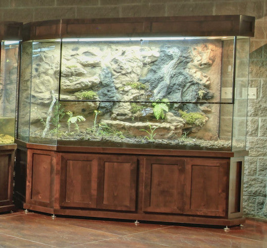 Custom Design Paludarium Terrarium or Turtle Tanks for Nature Center